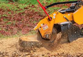 Best Stump Grinding and Removal  in Muskegon Heights, MI